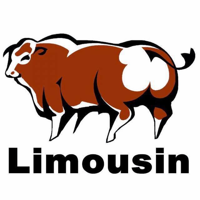 (c) Limousin.com.br